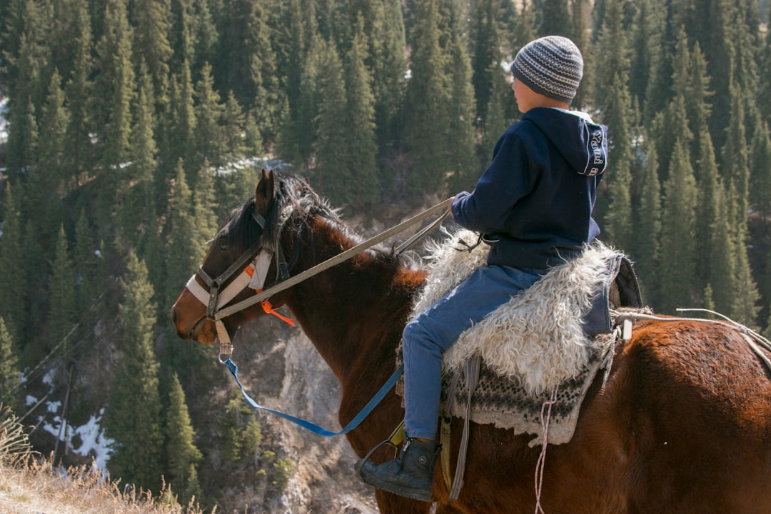 Photo Horseback riding